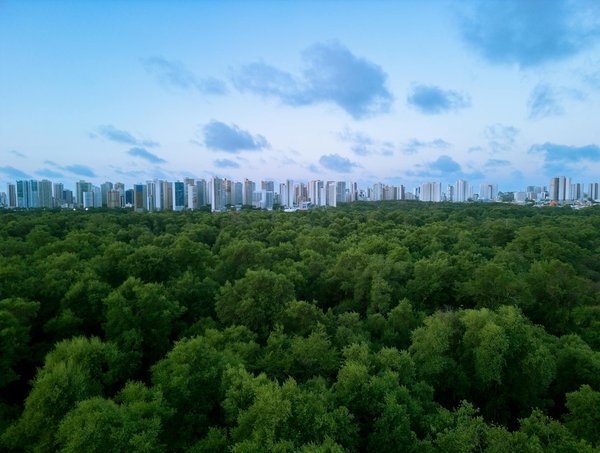 Stratégies Innovantes pour Booster le Commerce Équitable en Entreprise : Guide Pratique et Inspirant